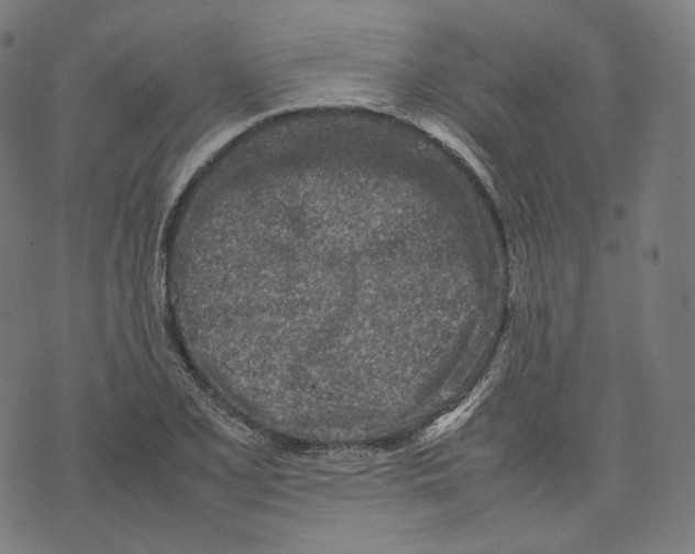 X0000074211077200609151550