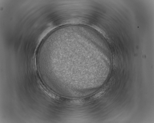 X0000074211078200609151550