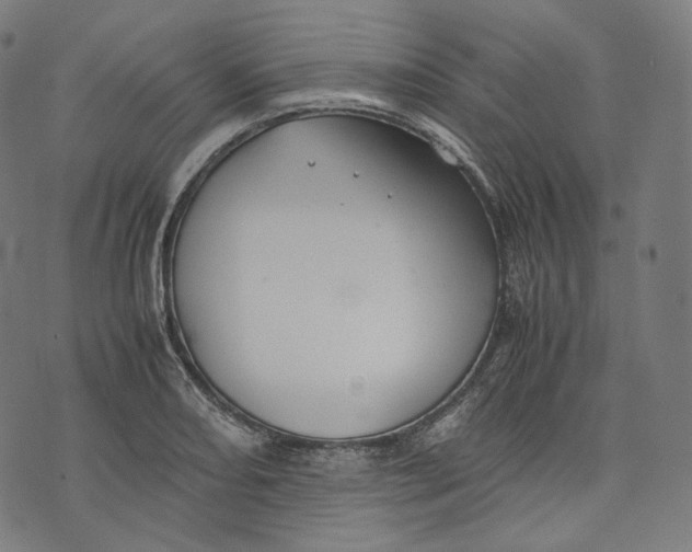 X0000074211082200609151550