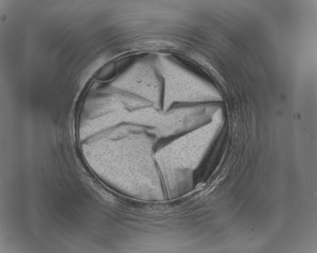 X0000074211083200609151550