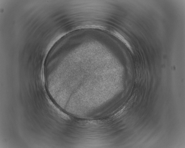 X0000074211084200609151550