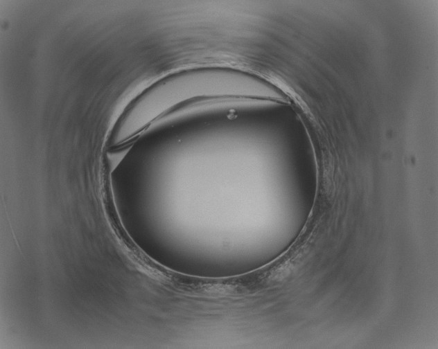 X0000074211085200609151550