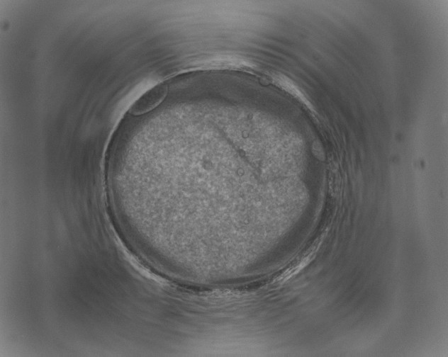 X0000074211087200609151550