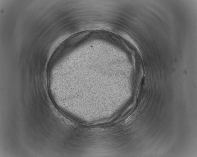 X0000074211088200609151550