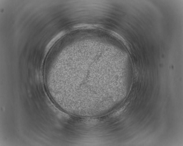 X0000074211090200609151550