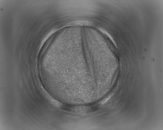 X0000074211091200609151550