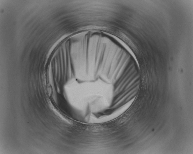 X0000074211092200609151550