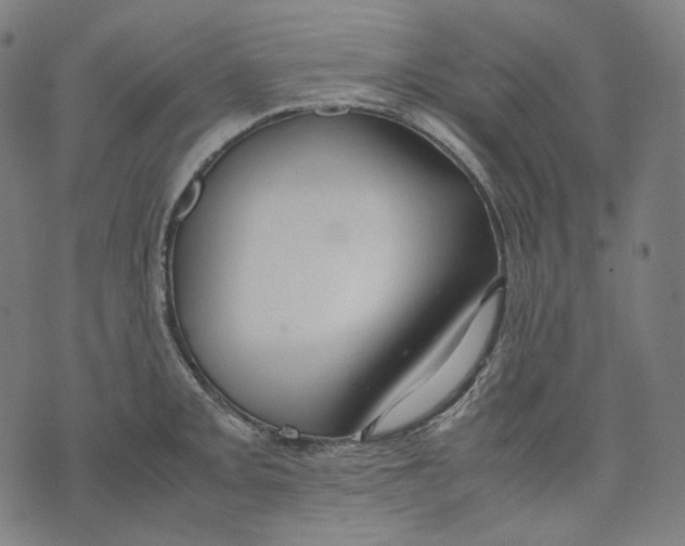 X0000074211093200609151550