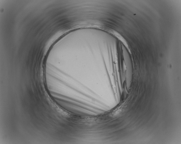 X0000074211096200609151550