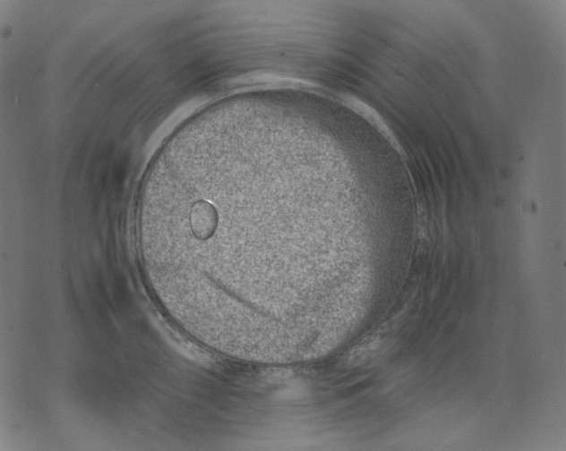 X0000074211098200609151550