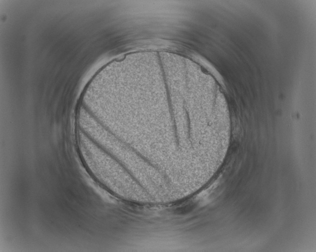 X0000074211099200609151550