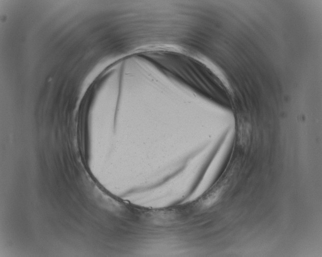 X0000074211102200609151550