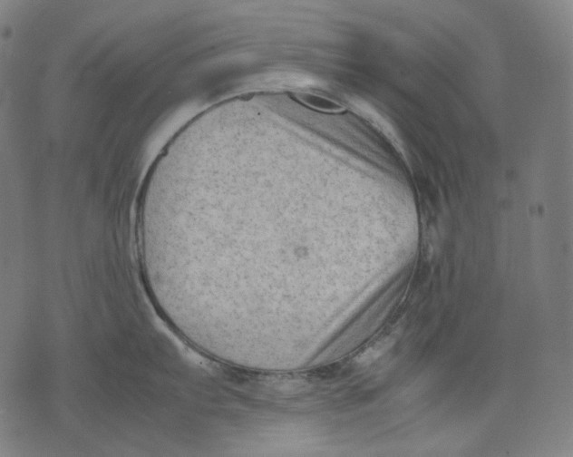 X0000074211103200609151550