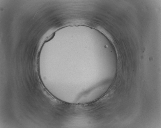 X0000074211104200609151550