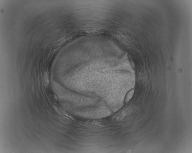 X0000074211106200609151549