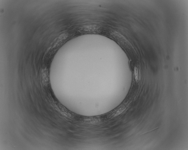 X0000074211107200609151549