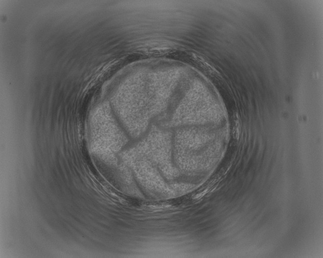 X0000074211108200609151549