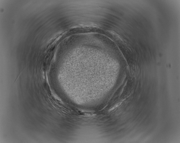 X0000074211110200609151549