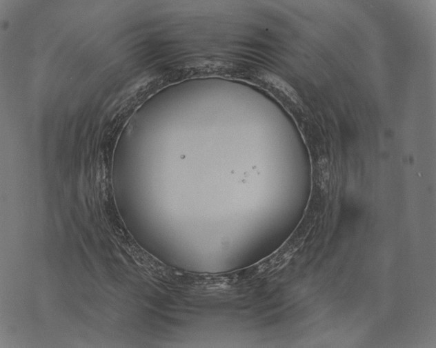 X0000074211111200609151549