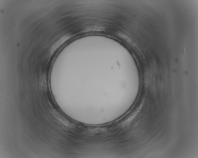 X0000074211113200609151549