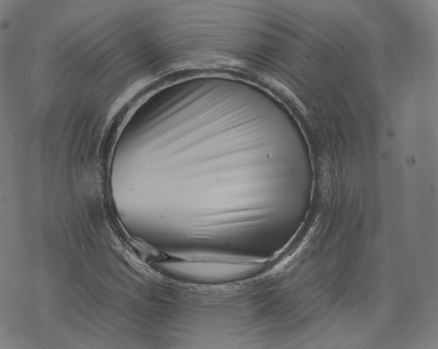 X0000074211114200609151549