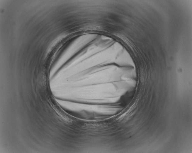 X0000074211115200609151549