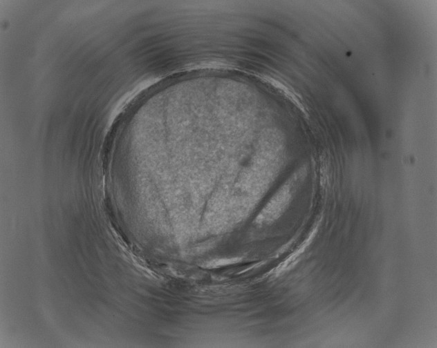 X0000074211117200609151549