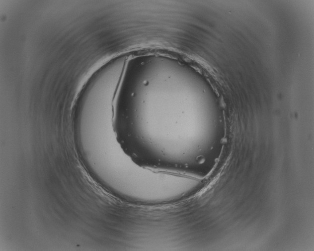 X0000074211118200609151549