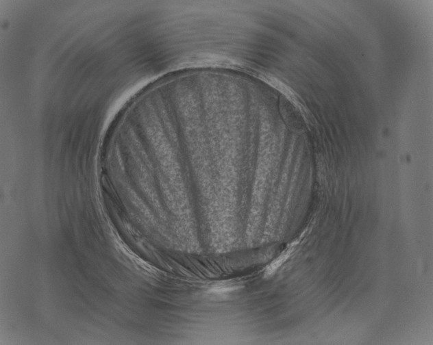 X0000074211120200609151549