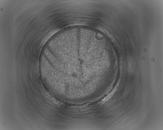 X0000074211121200609151549