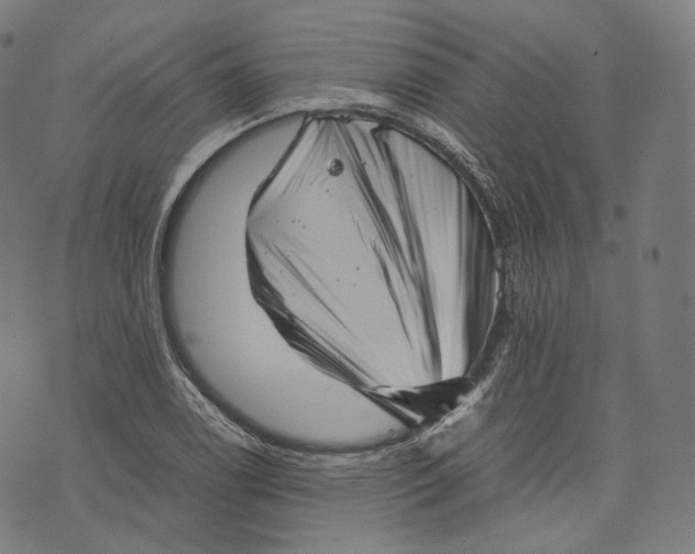 X0000074211122200609151549