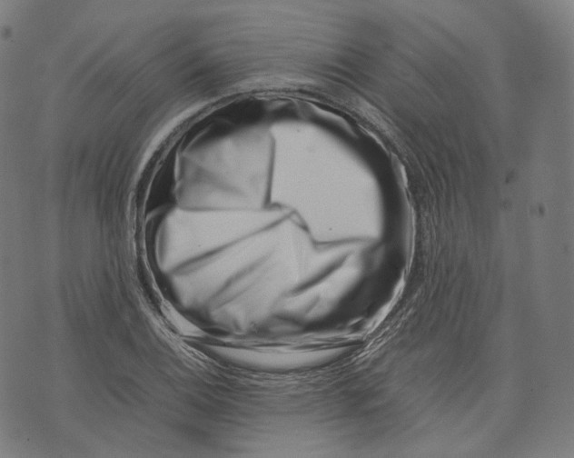 X0000074211124200609151549