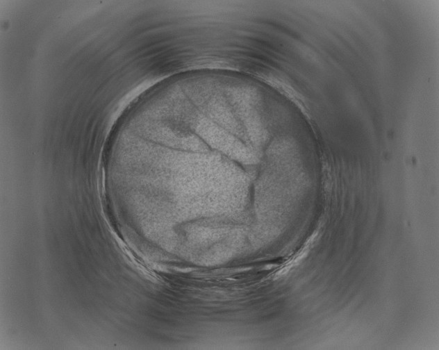 X0000074211125200609151549