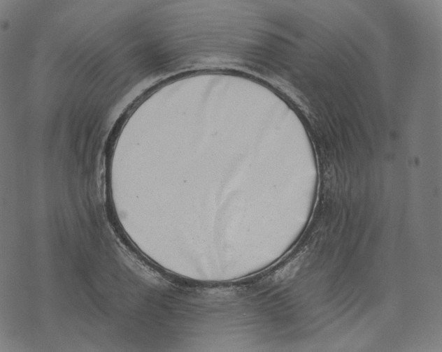 X0000074211126200609151549