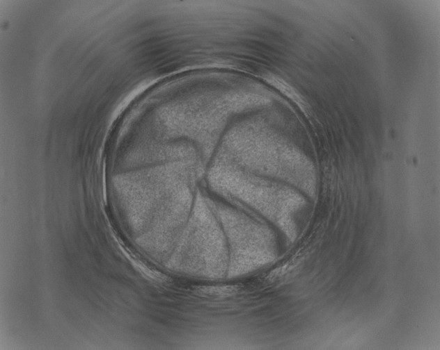 X0000074211127200609151549