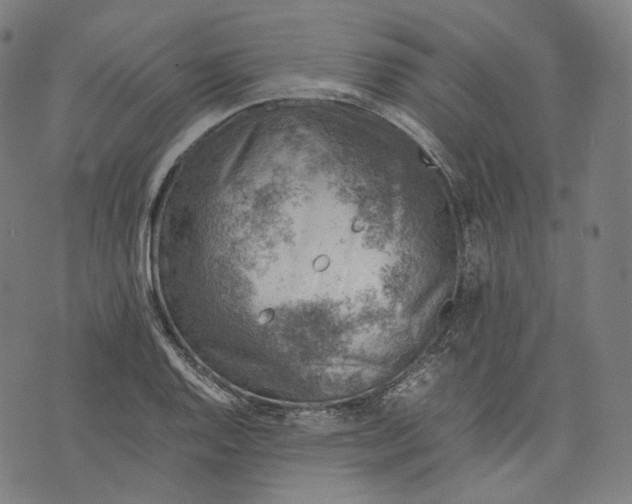 X0000074211128200609151549