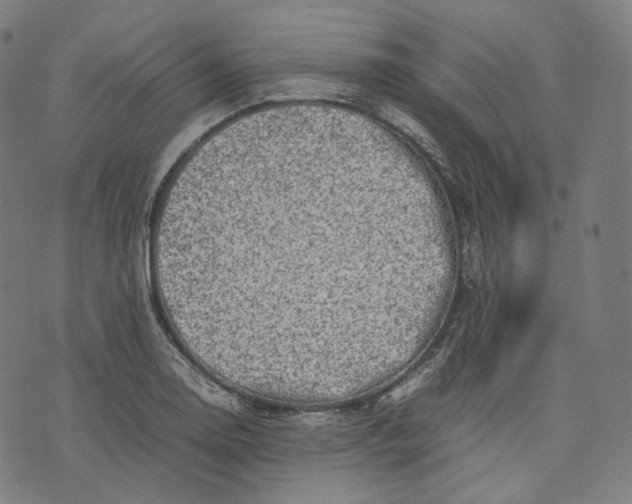 X0000074211130200609151549