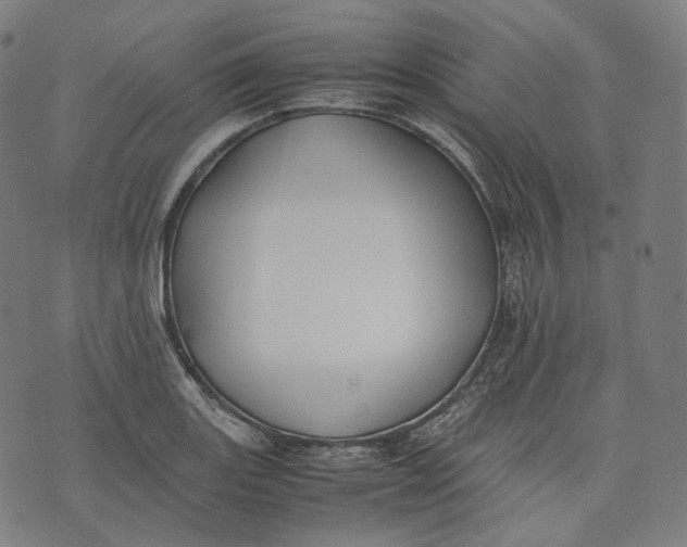 X0000074211131200609151549