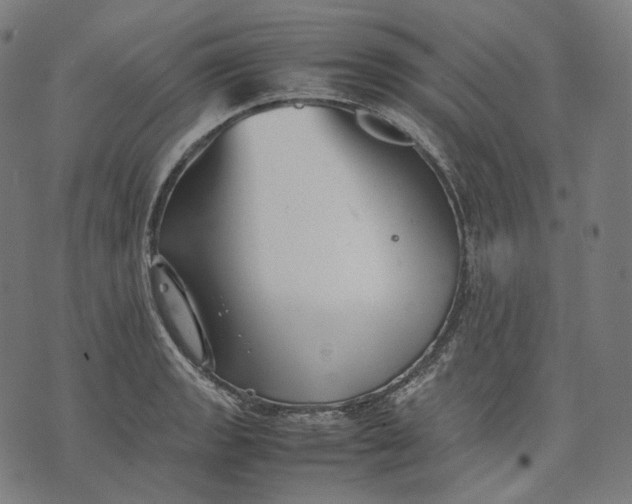 X0000074211133200609151549