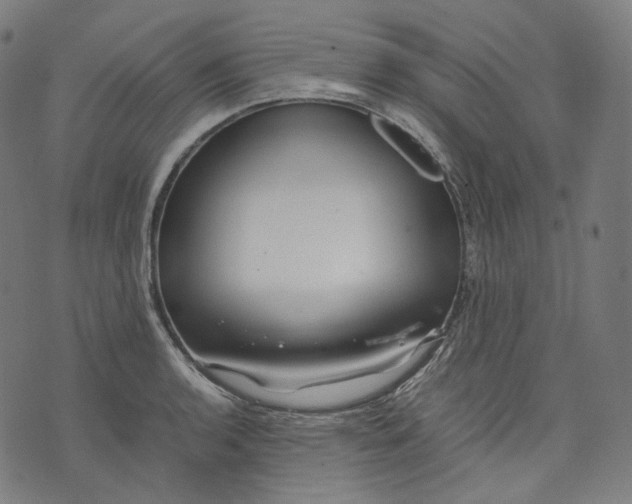 X0000074211136200609151549