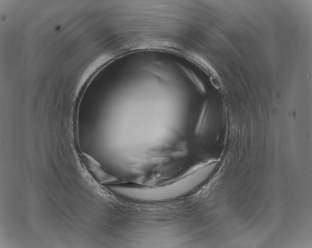 X0000074211138200609151550