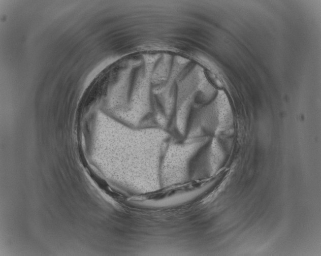 X0000074211141200609151550