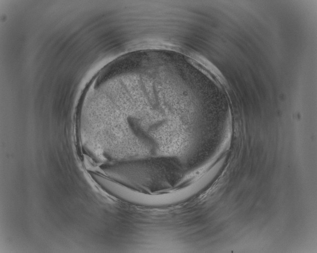 X0000074211144200609151550