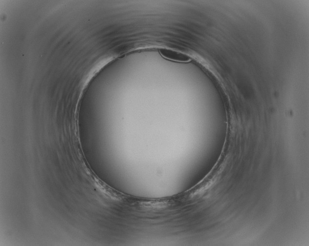 X0000074211145200609151550