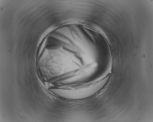 X0000074211146200609151550