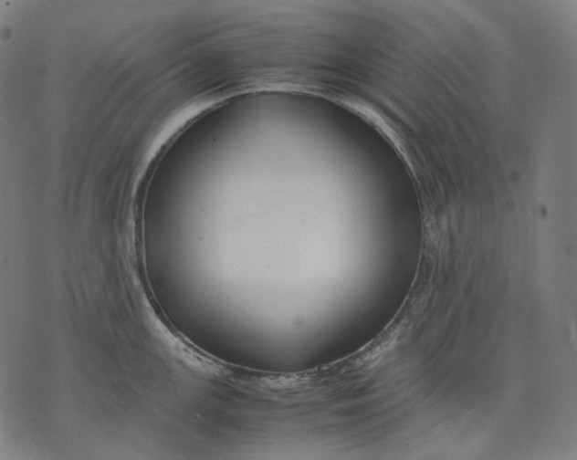 X0000074211147200609151550