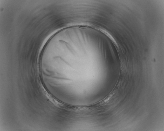 X0000074211148200609151550