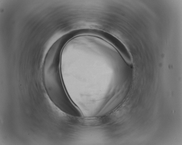 X0000074211152200609151550