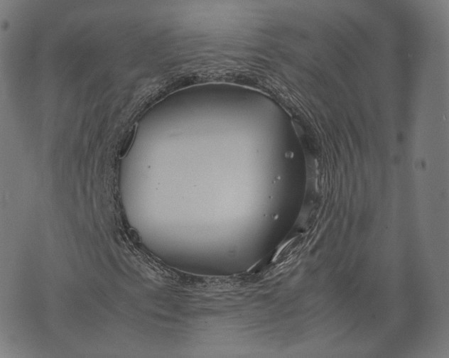 X0000074211153200609151549