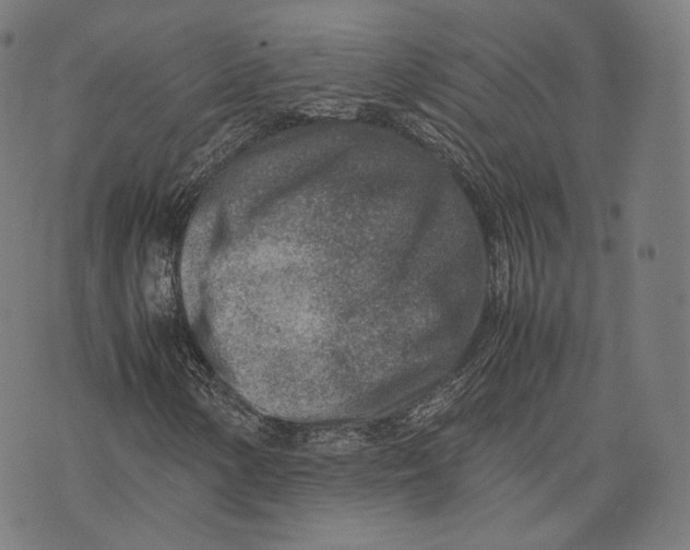 X0000074211154200609151549